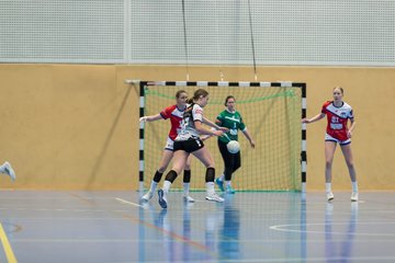 Bild 62 - wBJ HC Quickborn - HSG Tills Loew. : Ergebnis: 19:20